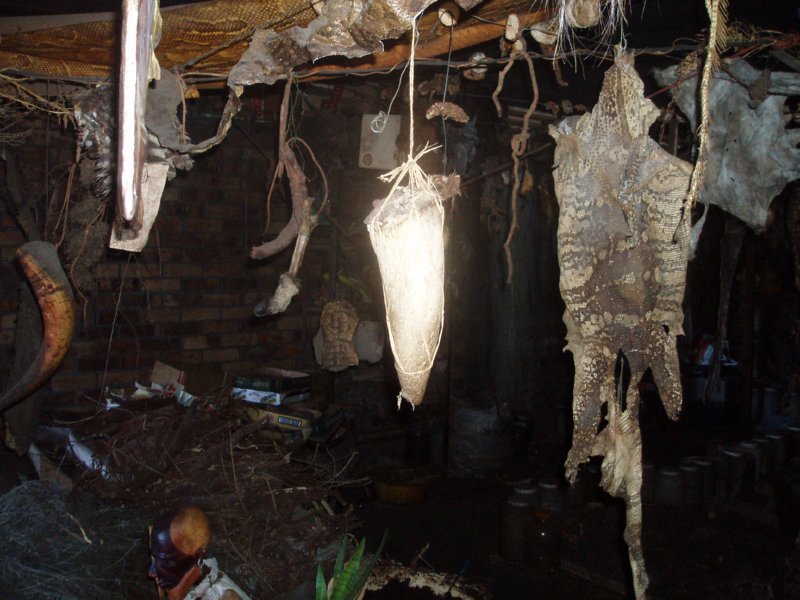 KeHa_in_South_Africa - 113